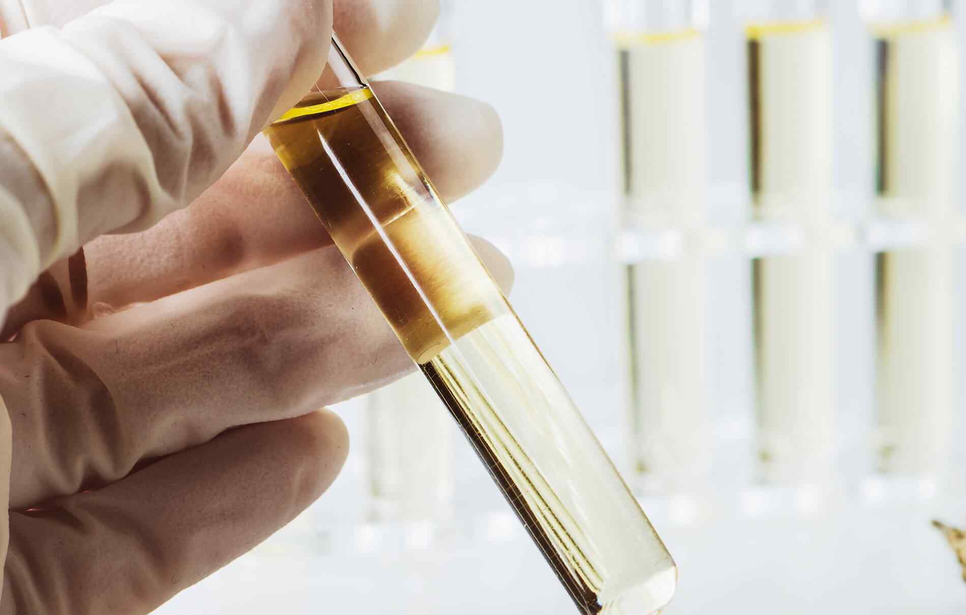 https://vitacannpharm.com/wp-content/uploads/2018/12/inner_service_05.jpg