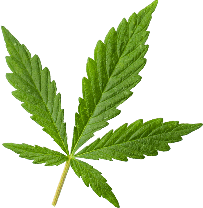 https://vitacannpharm.com/wp-content/uploads/2018/12/marijuana_leaf_large.png