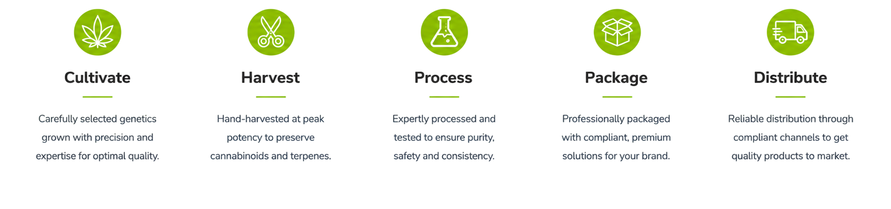 https://vitacannpharm.com/wp-content/uploads/2026/07/PROCESS.png