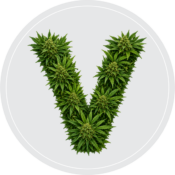 https://vitacannpharm.com/wp-content/uploads/2026/07/ve-e1784191844710.png